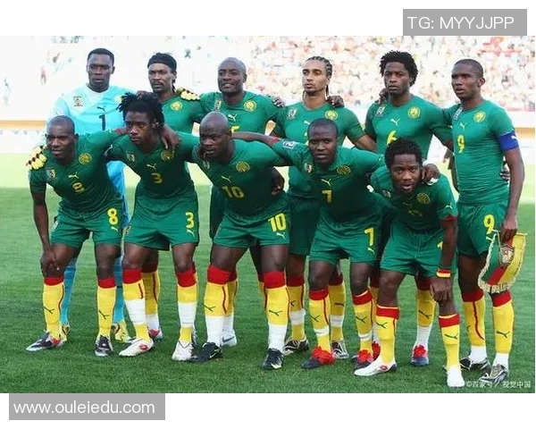 尼日利亚足球队的崛起与挑战：探索非洲足球的未来与希望